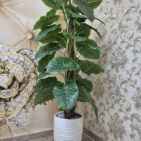 درختچه مصنوعی دو عدد|گل مصنوعی|شهریار, شهرک امیریه|دیوار