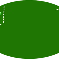 تخت تاتو و مژه