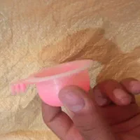 لوازم پرنده سهره قناری کفتر عروس هلندی طوطی|لوازم جانبی حیوانات|گلستان (تهران), |دیوار