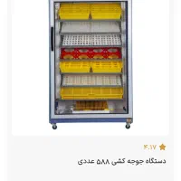 دستگاه جوجه کشی بلدرچین دماوند|لوازم جانبی حیوانات|املش, |دیوار