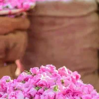 تور یک روزه گلاب گیری کاشان