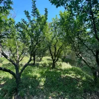 زمین-اماده-ساخت-تهراندشت-سرخاب