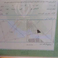 زمین فاز ۵ گلدیس