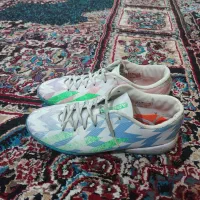 دوتا کفش ورزشی