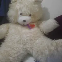 عروسک بزرگ و سالم