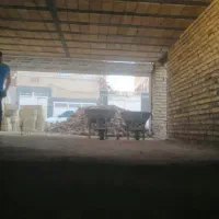 کار