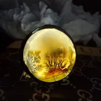 انگشتر شجر قاعنات و یاقوت سیلان