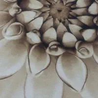 گلیم 6متری