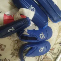 هوگو تکواندو حرفه ای و مبتدی