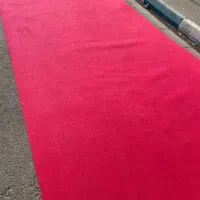 بهرامی موکت لاکی|موکت|زنجان, |دیوار