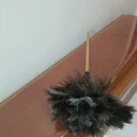 جاحبوبات|ظروف نگهدارنده، پلاستیکی، یک‌بارمصرف|تهران, نبی اکرم|دیوار