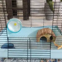قفس همستر|لوازم جانبی حیوانات|تهران, شادآباد|دیوار