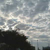 فروش زمین ۱۰۰۰ متری در باغشهر قصر سبز