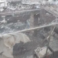 قفس کبوتر یامرغ|لوازم جانبی حیوانات|ابریشم, |دیوار