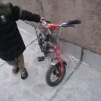 دوچرخه|دوچرخه، اسکیت، اسکوتر|پاکدشت, پاکدشت (مامازند)|دیوار