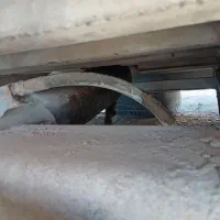 کمپرس نیسان|قطعات یدکی و لوازم جانبی|تربت‌حیدریه, اندیشه|دیوار