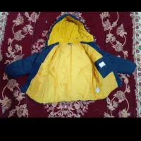 کاپشن  کت لی پسرانه|لباس|شهریار, شهرک وائین|دیوار