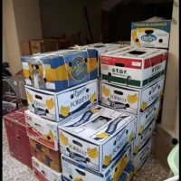 فروش کارتن موزی