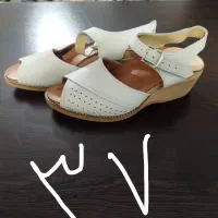 صندل وبچگانه