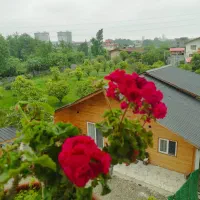 کلبه چوبی نمک ابرود بدون واسطه اجاره شبانه