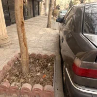 زانتیا ۸۵|خودرو سواری و وانت|کرج, دهقان ویلا|دیوار