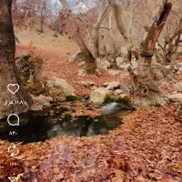 راننده مزدا و مزدا وانت نیسان