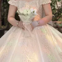 لباس عروس شیک|لباس|ورامین, ورامین|دیوار