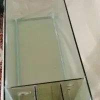 فروش آکواریوم|ماهی|فردوس (خراسان), |دیوار