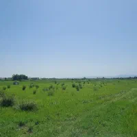 فروش-زمین-شهری-در-متراژهای-مختلف