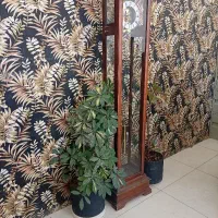 تجاری ۲۴اذر