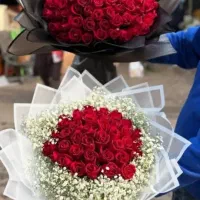 گلستان رُز|گل و گیاه طبیعی|اندیمشک, |دیوار