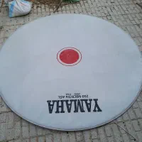 طلق