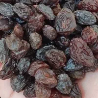 کشمش پلویی آفتاب خشک شده تبریز