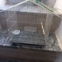 قفس