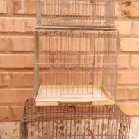 تابلوهای زیبای تزیینی ،پنکه سقفی،قفس|پنکه و تصفیهکنندهٔ هوا|دزفول, |دیوار