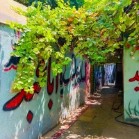 کمپترکاعتیادمبیندرشهرری|خدمات زیبایی و سلامت|تهران, شهید بهشتی|دیوار
