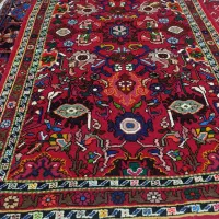 ننج زرع و نیم