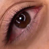 تمام خدمات با ۳۰ درصد تخفیف|خدمات آرایشگری و زیبایی|اصفهان, باغ زیار|دیوار