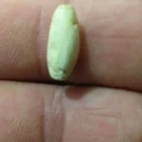 انگشتر|کلکسیون و سرگرمی|ایلام, |دیوار