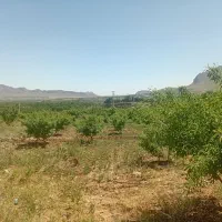 فروش-زمین-کشاورزی-محدوده-دهکده-زاگرس