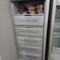 فروش یخچال و فریزر|یخچال و فریزر|شیراز, نصر|دیوار