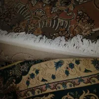 جفت فرش 12 مترگل برجسته زمینه نسکافه ای پاتریس|فرش|مشهد, نوید|دیوار