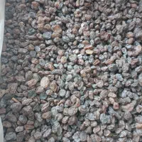 کشمش تاکستان آفتابی پلویی مویز ابگیری