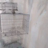 فروش تعدادی قفس|لوازم جانبی حیوانات|تویسرکان, |دیوار