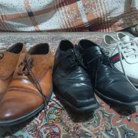 کفش|کیف، کفش، کمربند|شیراز, معالی‌آباد|دیوار