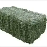 یونجه|لوازم جانبی حیوانات|نهاوند, |دیوار