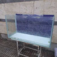 آکواریوم بزرگ ۸ میل