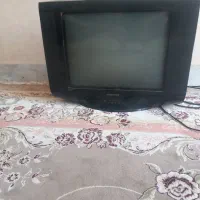 تلویزیون