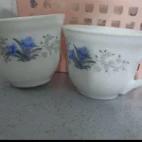 فنجان|کلکسیون و سرگرمی|جوانرود, |دیوار