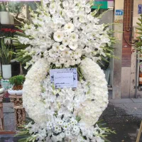 فقط 3500|گل و گیاه طبیعی|تهران, سبلان (لشگر)|دیوار